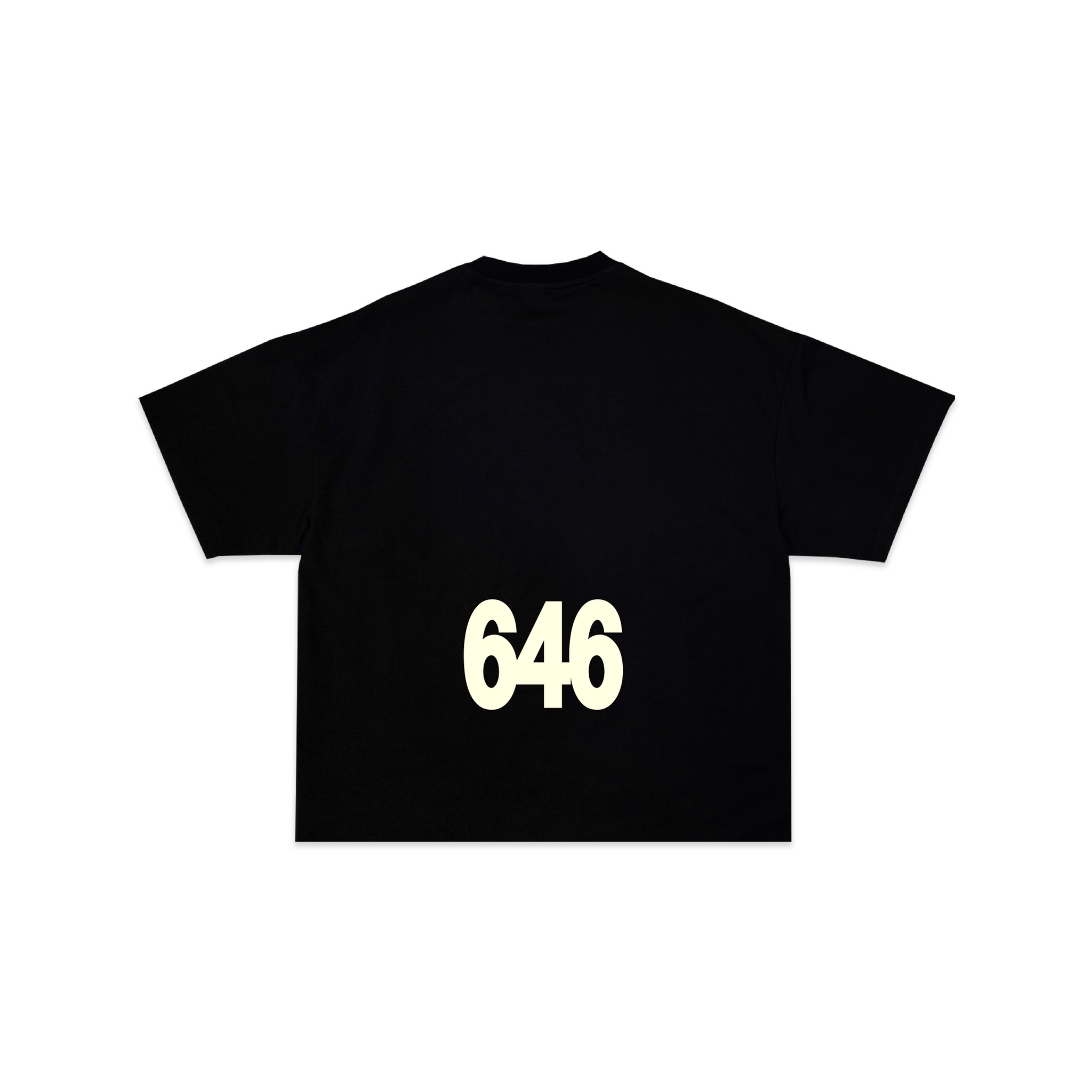 6/6
